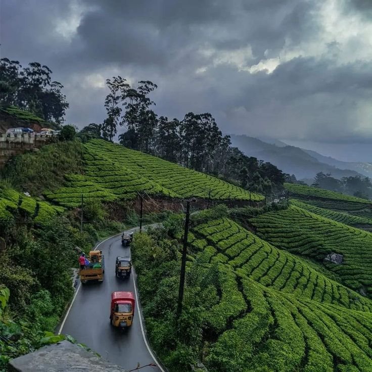 Munnar Hills